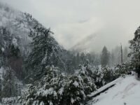 2019 0112 Bighorn Peak(8,450ft) via Icehouse Canyon
