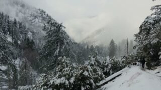 2019 0112 Bighorn Peak(8,450ft) via Icehouse Canyon