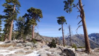 2019 0126 Mt.Islip (8,250ft) via Crystal Lake ( 3,000 ft gain, 9.6 mi round trip)