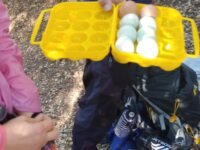 3/16/2019  San Gabriel Peak to Valley Forge Canyon via Red Box (10mi)