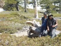 5/4/2019  San Bernardino Peak (13 mi )