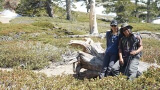 5/4/2019  San Bernardino Peak (13 mi )
