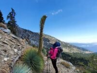 6/2/19  Mt. Islip (8,250 ft)  via Crystal Lake