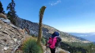 6/2/19  Mt. Islip (8,250 ft)  via Crystal Lake