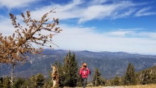 10/19/2019  San Bernadino Peak (10,650 ft, 17mi round trip, 4,750 ft gain)
