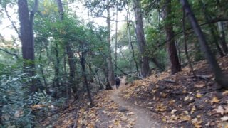 10/26/2019   Mt. Wilson (5,710 ft) via Cantry Flat ( 3,500 ft gain, 14mi round trip)