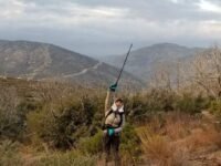 12/14/2019. Mt. Pacifico (7,214 ft) via Mill Creek Summit ( 2,175ft gain, 13.7mi round trip)