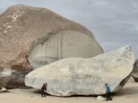 1/25~26/2020   Joshua Tree National Park 스페셜 산행 (1박 2일)