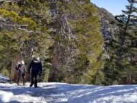 2/3/2020  Mt. Baldy ( 10,064 ft, 3,900 gain, 8.4 mi)