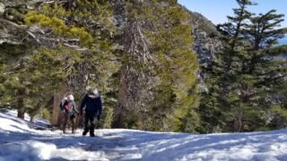 2/3/2020  Mt. Baldy ( 10,064 ft, 3,900 gain, 8.4 mi)