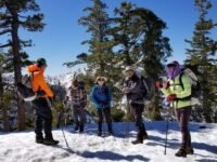 2/8/2020  Timber Mountain(8,303 ft,  9,2 mi)