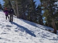 2/29/20  Bighorn Peak(8,450) via  Icehouse Canyon ( 3000 ft. 9.5 mi)