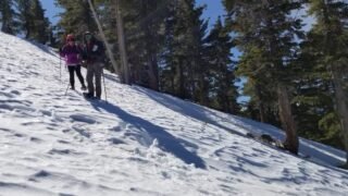 2/29/20  Bighorn Peak(8,450) via  Icehouse Canyon ( 3000 ft. 9.5 mi)