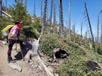 6/20/2020  Ontario Peak (8,694 ft) via Icehouse Canyon ( 3,868ft gain, 13.9 mi)