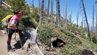 6/20/2020  Ontario Peak (8,694 ft) via Icehouse Canyon ( 3,868ft gain, 13.9 mi)