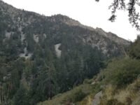 10/17/2020  Timber Mt. (8,303 ft) via  Middle Fork Trail  (11mi, 3,580 ft gain)