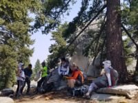 8/22/2020  San Jacinto via Fuller Ridge Trail ( 10 mi)