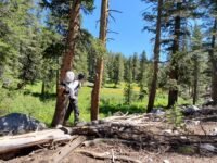 8/1/2020 John Muir Trail  넷째 날 (Ver.million Valley Creek to  Upper Bear Creek Meadow  14 mi)