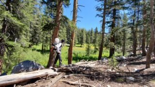 8/1/2020 John Muir Trail  넷째 날 (Ver.million Valley Creek to  Upper Bear Creek Meadow  14 mi)