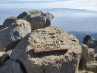 11/21/2020  Cucamonga Peak (8,860ft) via Icehouse Canyon (12.5mi)
