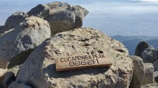 11/21/2020  Cucamonga Peak (8,860ft) via Icehouse Canyon (12.5mi)