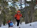 2/13 /2021 Mount Baden-Powell  2편