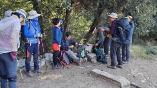 3/6/2021 Bailey Canyon  (Willson) Loop Trail ( 11.2 mi, 4,685 ft gain) via Bailey  Canyon  Trail