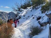 3/13/2021  Mount Lowe (5,606 ft) via Redbox Canyon Trail  (7.9  MI,  1,875 ft up/ 700 ft dn)