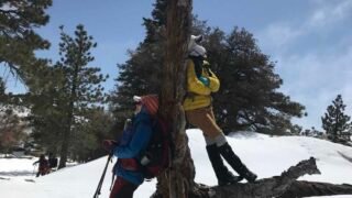 3/20/2021  Tahquitz Peak via South  Ridge Trail (7.8 mi round, 3,057 ft gain )