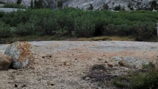 7/8/ 2021  John Muir Trail   둘째 날, Le Conte to  Palisade Lake