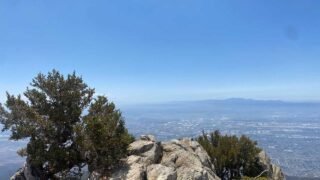 7/31/2021 Cucamonga Peak (8,860 ft)  via Iceouse Canyon ( 4,314 ft gain, 12.5 mi)