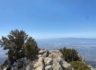 7/31/2021 Cucamonga Peak (8,860 ft)  via Iceouse Canyon ( 4,314 ft gain, 12.5 mi)