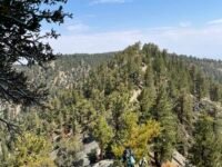 8/14/2021. Pine Mount  via  Acorn & N Backborn  Trail  ( 9.5 mi, 3,930 ft gain)