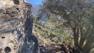 8/21/2021  Momyer Creek Trail to Dobbs Cavin  ( 12.9 mi,  3,123 ft gain )