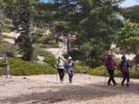 9/26/2021  Timber Mount  via Cedar  Glen  Camp  ( 9.8 mi, 3,336 ft gain) 및 정기총회