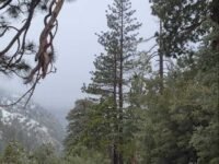 12/25/2021  Timber Mount via Icehouse Canyon