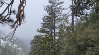 12/25/2021  Timber Mount via Icehouse Canyon
