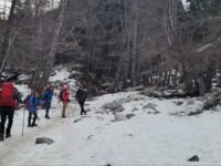 1/ 15/2022  Bighorn Peak (8,860 ft) via  Icehouse Canyon ( 12.2mi, 3,550 ft gain)