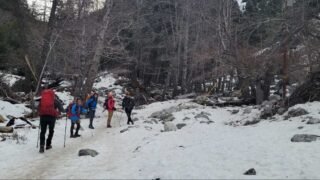 1/ 15/2022  Bighorn Peak (8,860 ft) via  Icehouse Canyon ( 12.2mi, 3,550 ft gain)