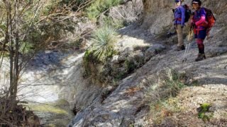 1/22/2022  Bear Canyon Camp Trail ( 9mi round trip )
