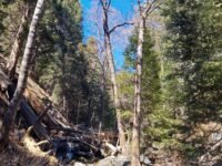 3/26/2022  Momyer  Creek  Trail  to Dobbs  Cavin  ( 12.9 mi / 3,123 ft gain)