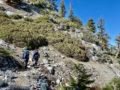 4/23/2022 Cucamonga  Peak ( 8,860 ft) via Icehouse  Canyon  ( 12.5 mi, 4,314 ft gain  )