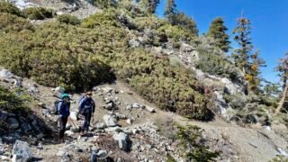 4/23/2022 Cucamonga  Peak ( 8,860 ft) via Icehouse  Canyon  ( 12.5 mi, 4,314 ft gain  )