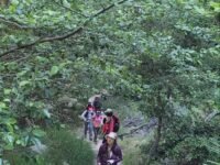 5 / 7 /2022   Mt. Lowe Railway Loop  #3 ( 14 mi )