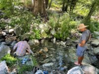 6/11/2022  Kelly Camp via Icehouse Canyon  ( 11.6 mi, 3,097 ft gain)
