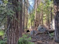 6/16/2022  Rae Lake Loop  스페셜 산행, 둘째 날 ( Middle  Paradise  Valley  to Dollar  Lake,  13 mi)