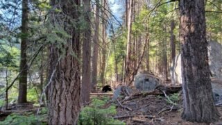 6/16/2022  Rae Lake Loop  스페셜 산행, 둘째 날 ( Middle  Paradise  Valley  to Dollar  Lake,  13 mi)