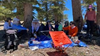 7/9/2022 Timber  Mount (8,860 ft) via Iceouse  Canyon  ( 9.8 mi, 3,360 ft gain )