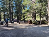 8/3/2022. JMT 첫째 날,  Devils Postpole to Shadow creek (10.2 mi )