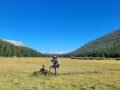 8/6/2022 JMT 넷째 날, McClure Creek  to  Tuolumne Meadows ( 11.2 mi)